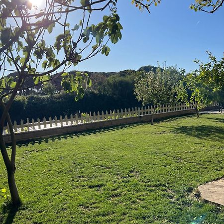 Sunnyside Villa دراس المظهر الخارجي الصورة